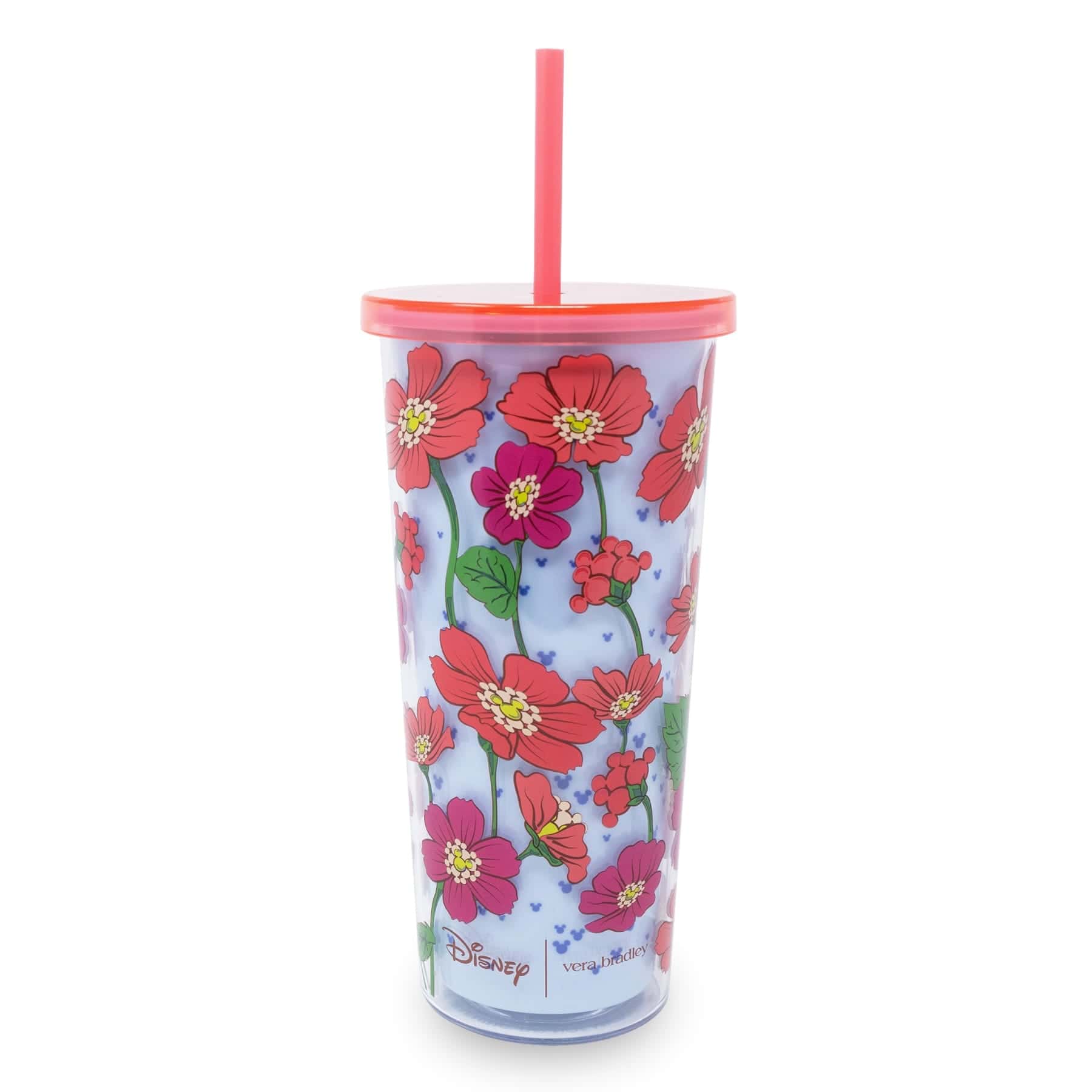 Disney Tumbler with Straw