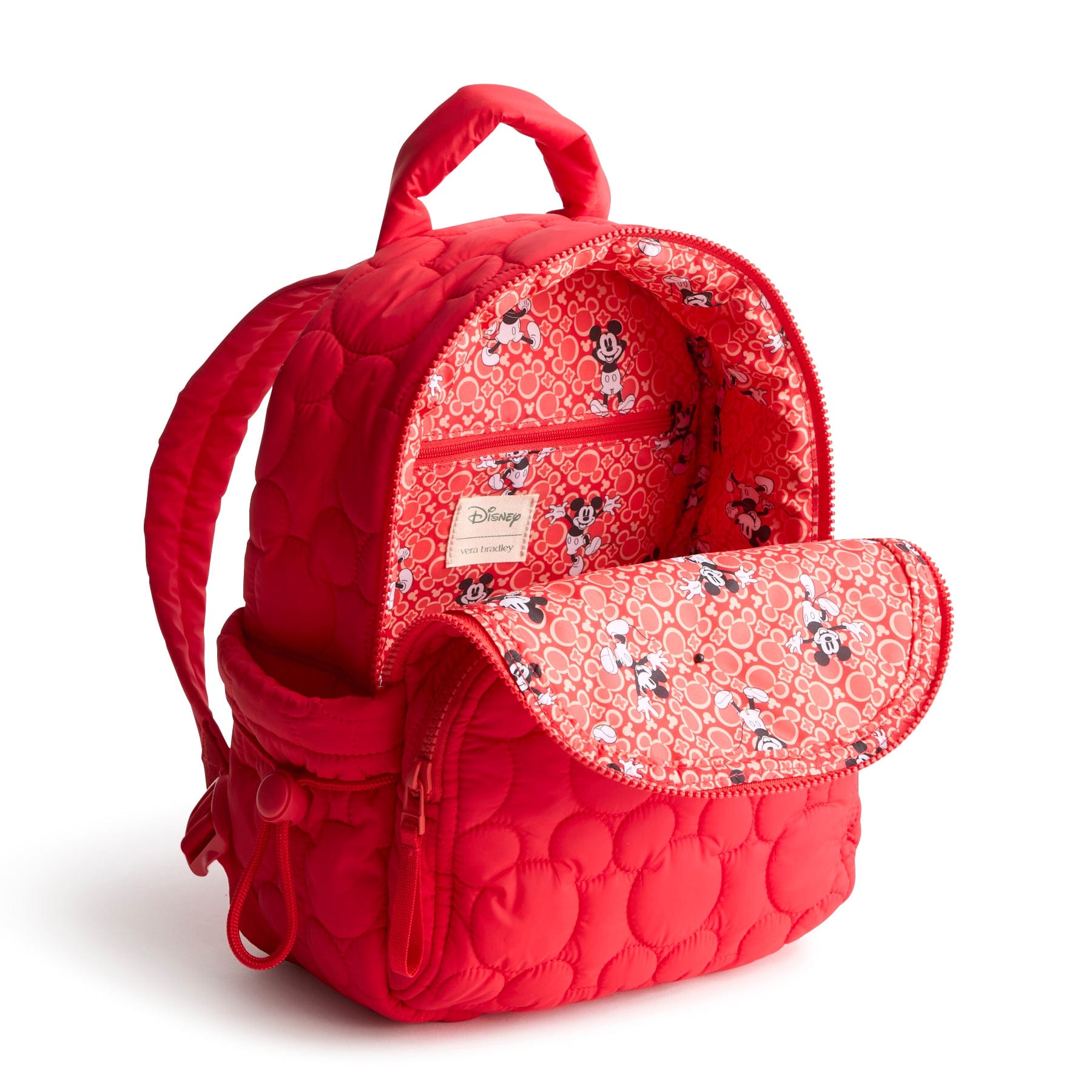 Disney Small Banbury Backpack