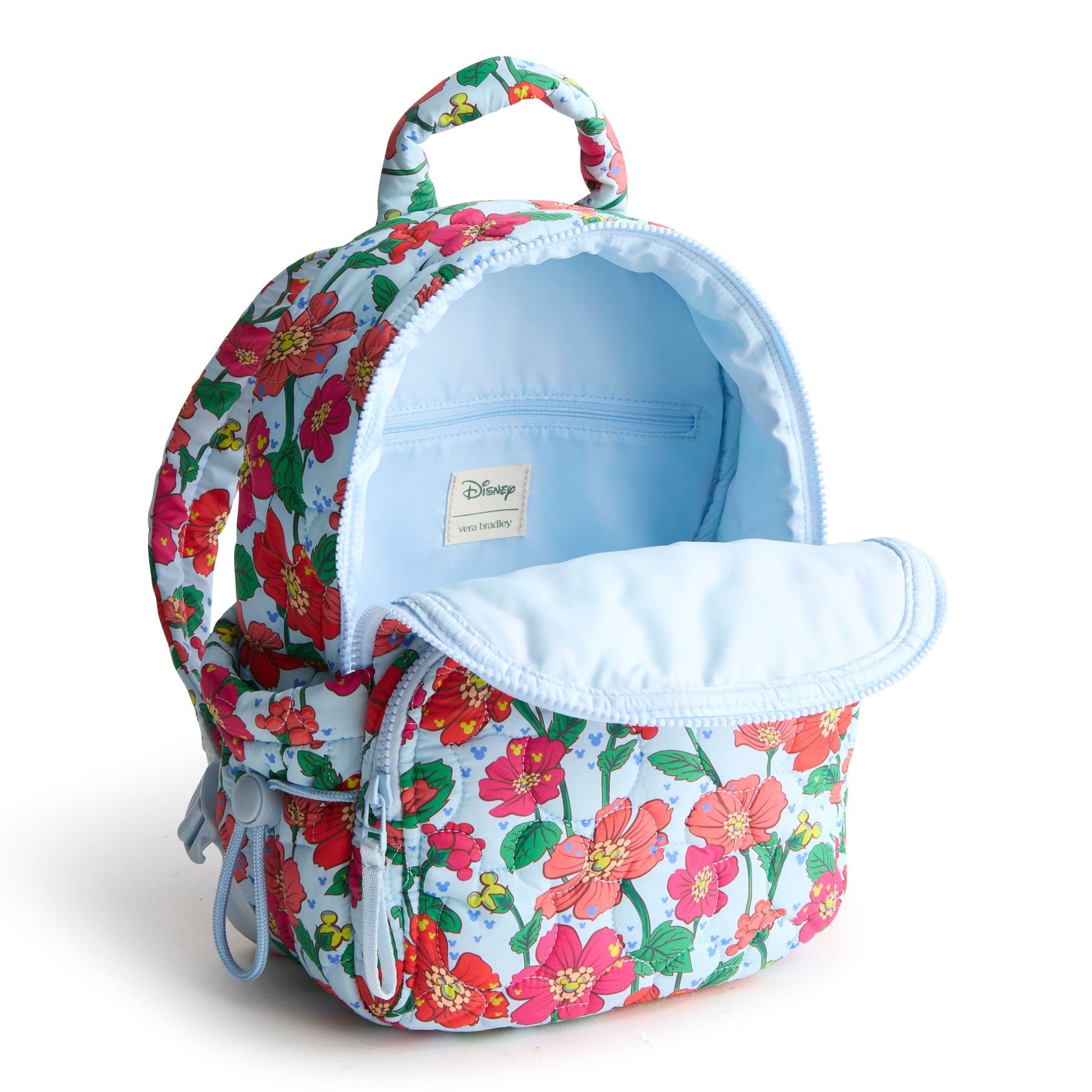 Disney Small Banbury Backpack