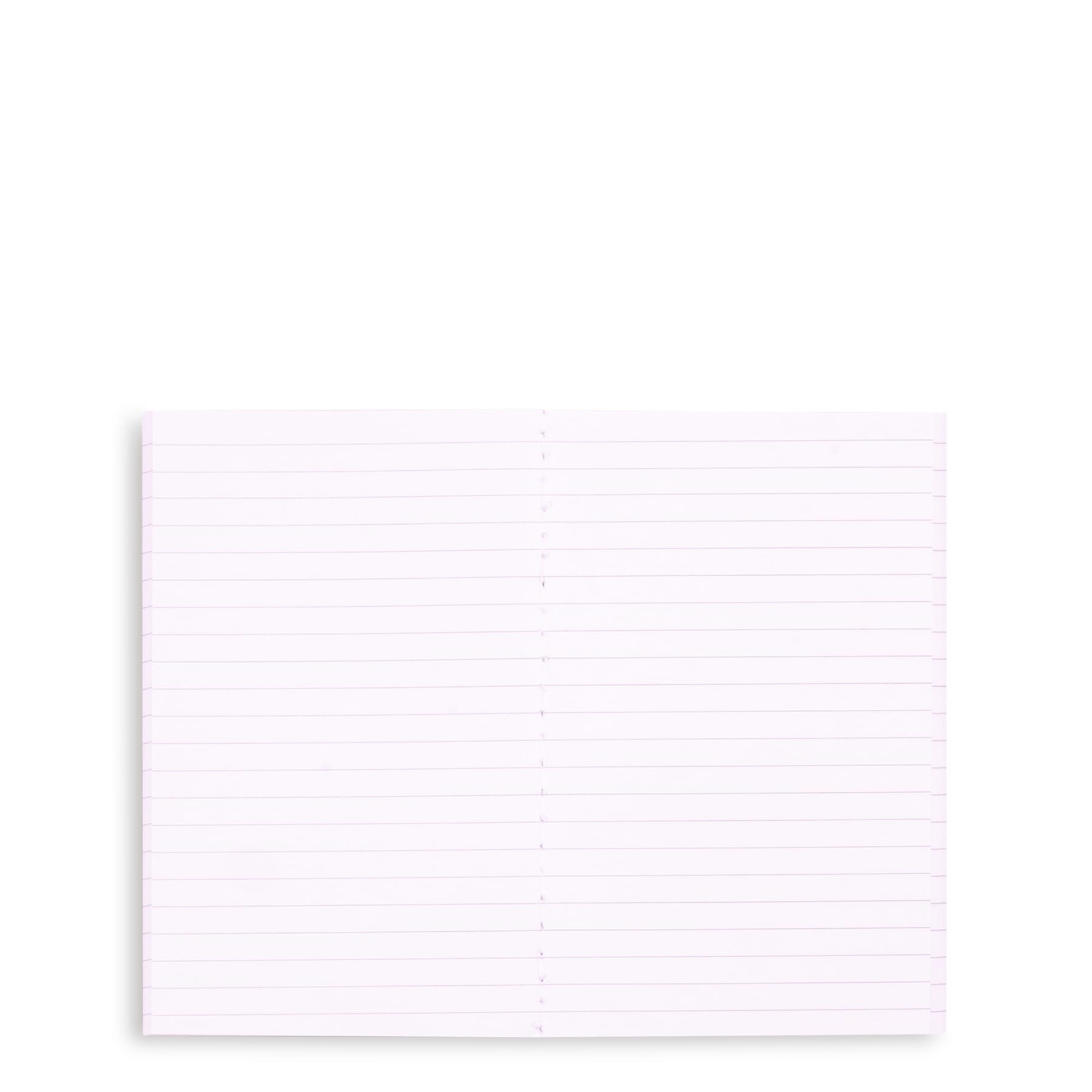 Wicked Mini Notebook Set of 2