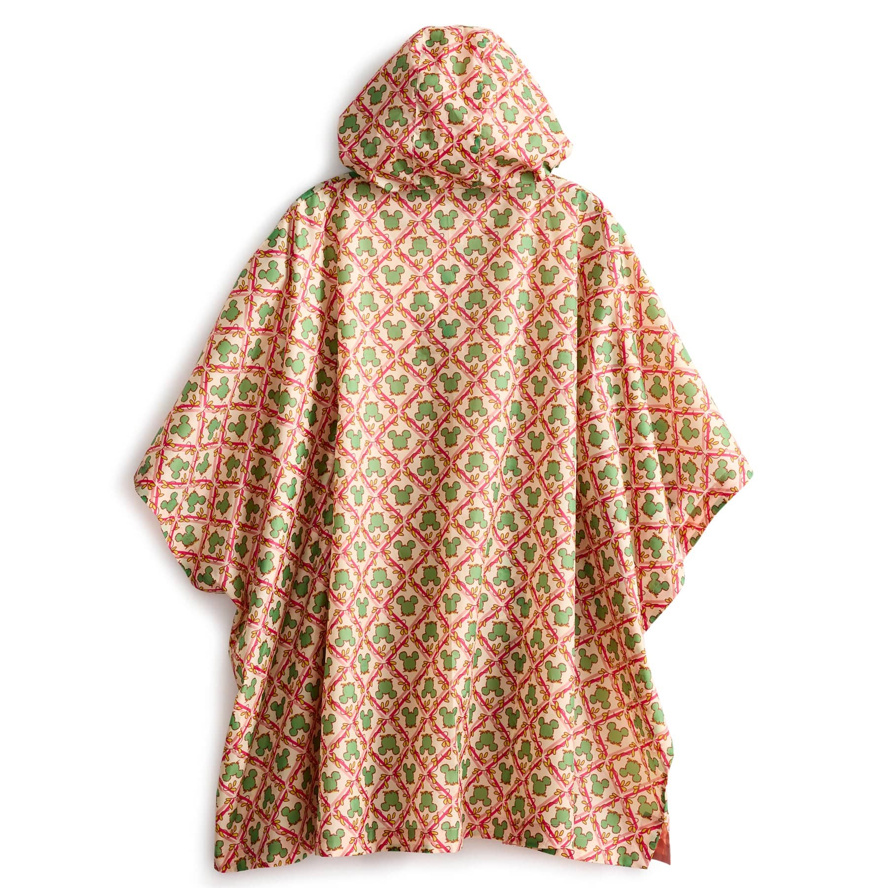 Disney Rain Poncho