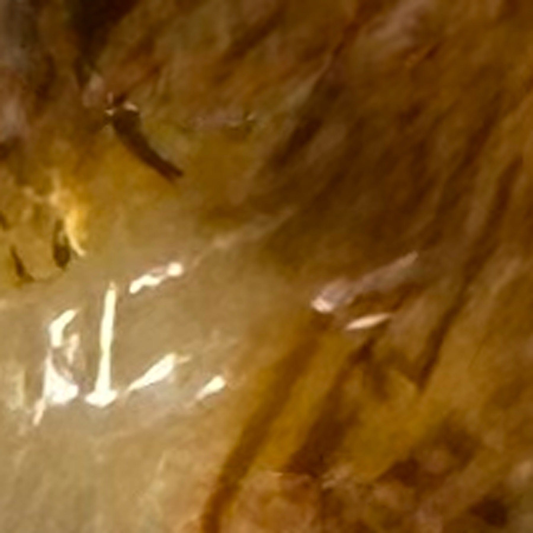 Kenai Polarized Sunglasses